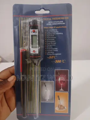 Food Thermometer