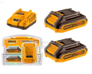 P20s 20v Lithium-Ion Battery and Charger Kit Fbcpk1222
