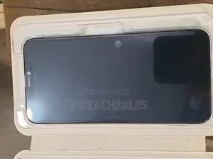 iPhone Xs Max Screen