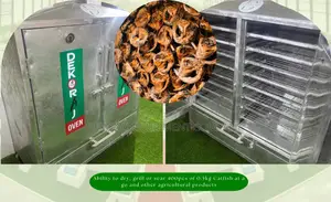 Maximize Your Yield With Our Type-b 200kg Fish Dryer