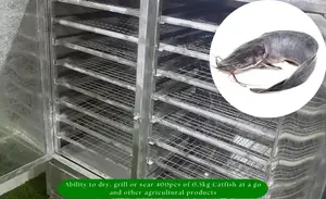 Boost Productivity With Our 200kg Drying Oven