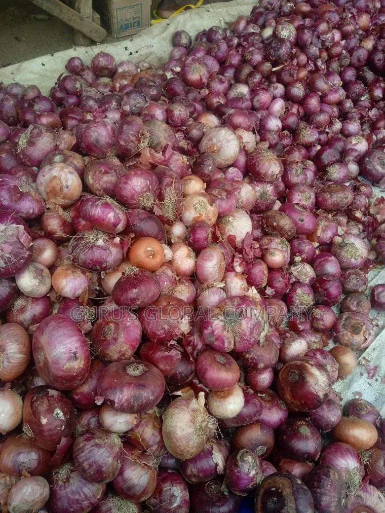Onions Available