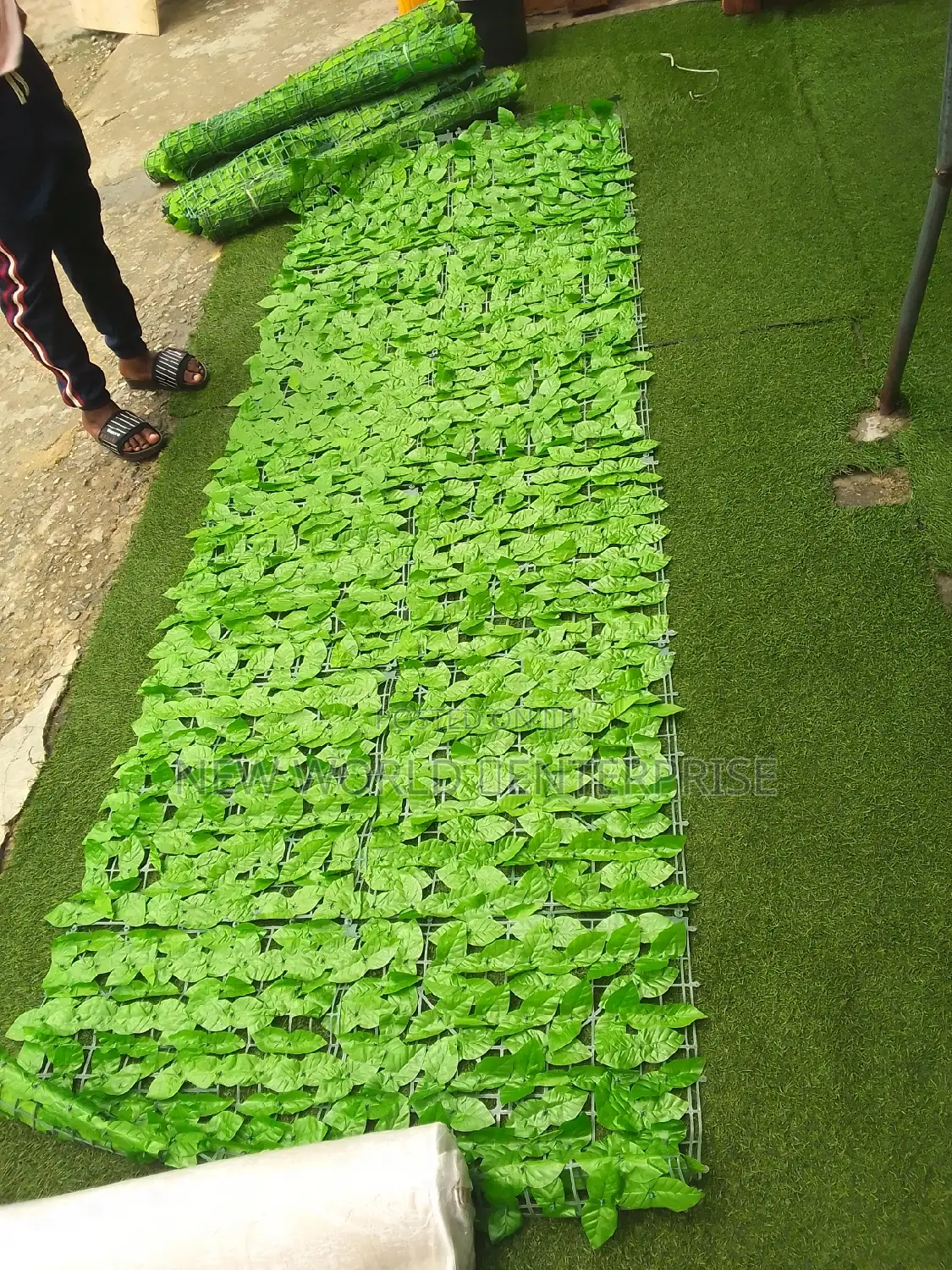 Carpet Flowers