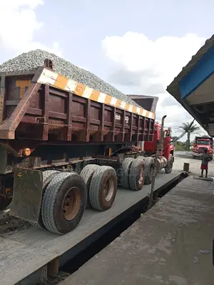 Iron Chippings From Oriental Mining Company