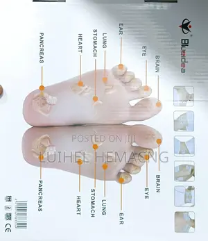 Electronic Pulse Massager