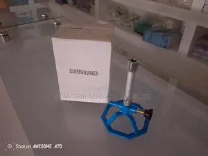 Bunsen Burner Lab