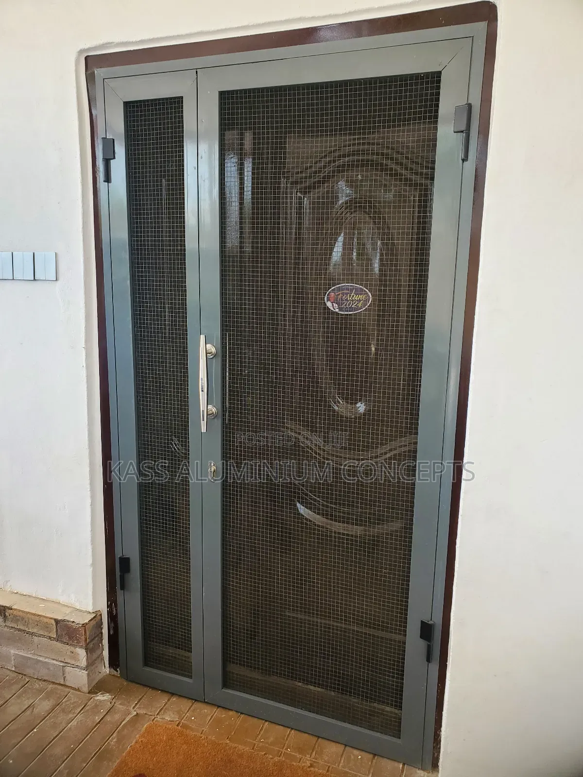 Mosquito Net Door