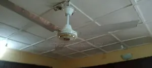 Ac/Dc Solar Ceiling Plus
