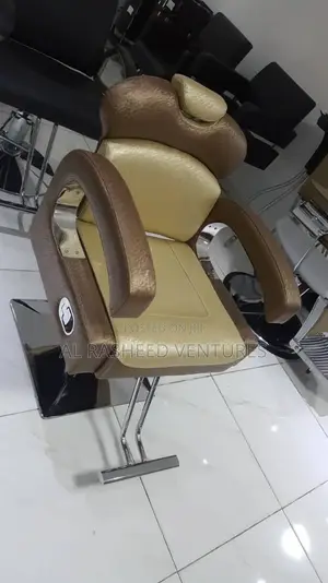Pumping Salon Chair