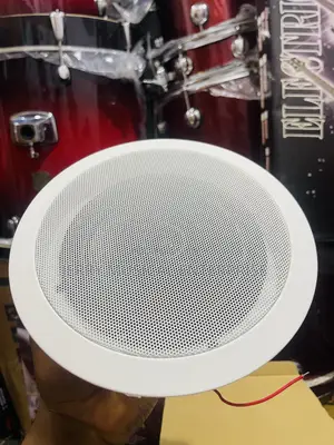 30watts Ceiling Speakers