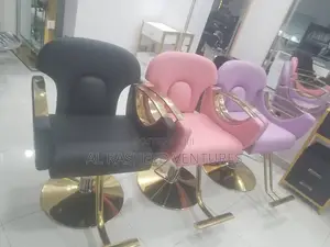 Pumping Salon Chair