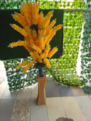 Beautiful Modern Flowers