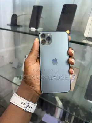 Apple iPhone 11 Pro Max 64 GB Gray
