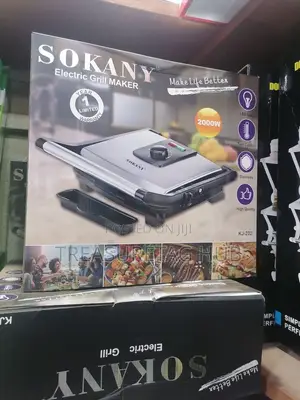 Electric Grill