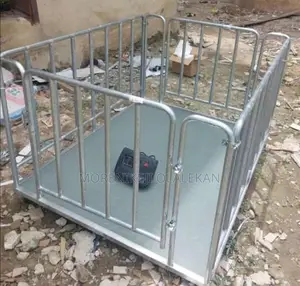 Walk In Platform Scale(3tons)
