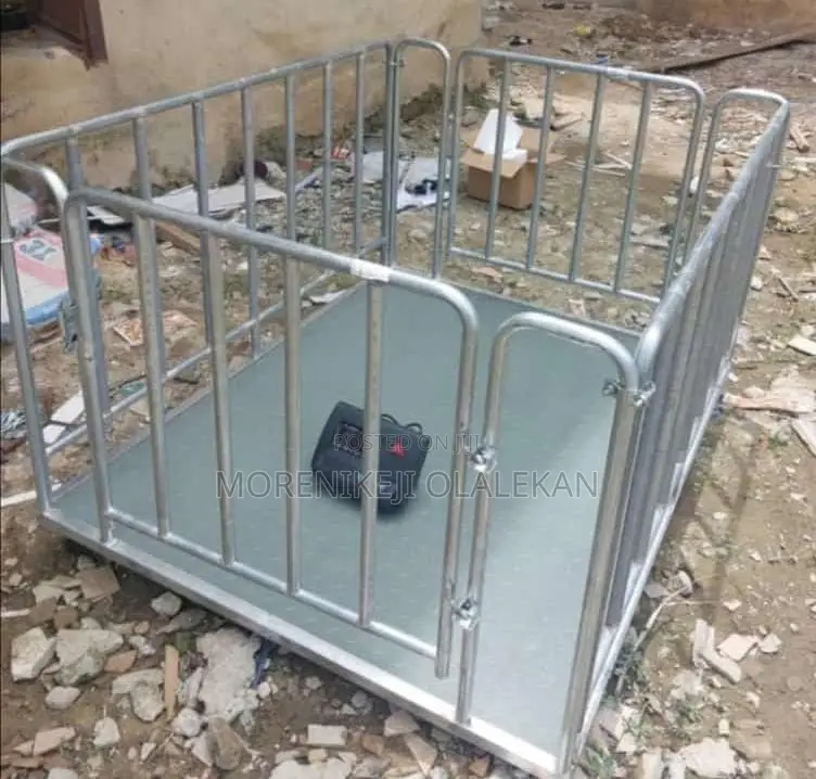 Walk In Platform Scale(3tons)