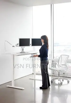 Home and Office Electric Adjustable Desk
