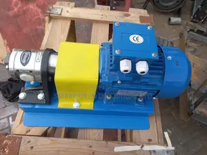 Gear Transfer Pump Stainless