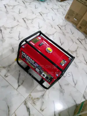Powerful Pure Copper Manual Start Petrol Generator