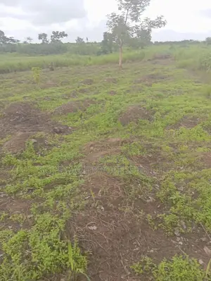 Green Villa Estate Mgbakwu