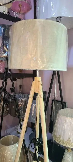 Standing Luxury Lamps