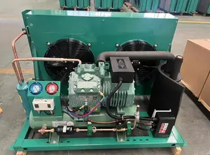 Bitzzer Unit 5hp