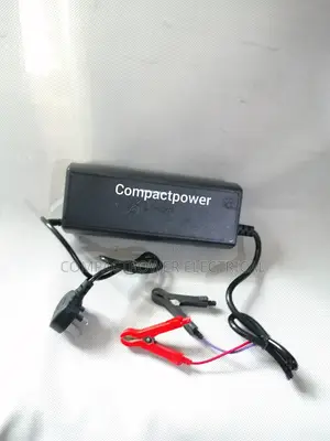 Quality 24v (28.8v) 20a Smart Lifepo4 Intelligent Charger