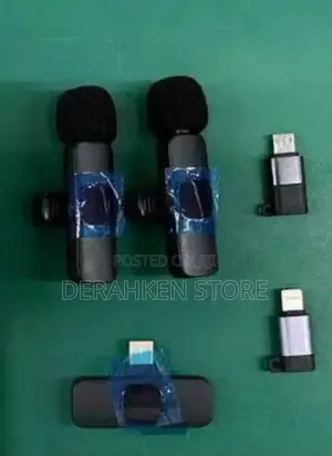 3 in 1 Microphone With 2 Mics