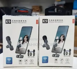 3 in 1 Microphone With 2 Mics