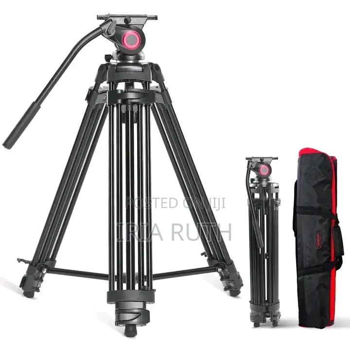 Led Lights, Tripods of Different Sizes