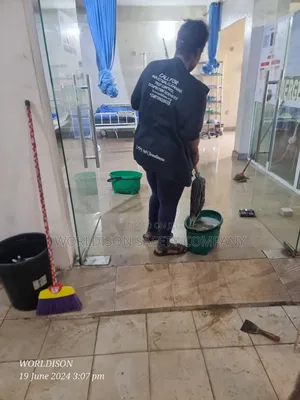 Professional Cleaning and Fumigation Company