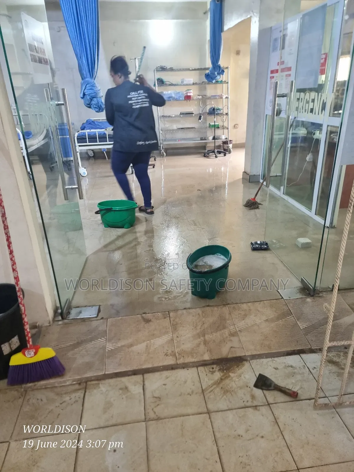 Professional Cleaning and Fumigation Company