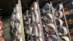 Oven-Dried Catfish