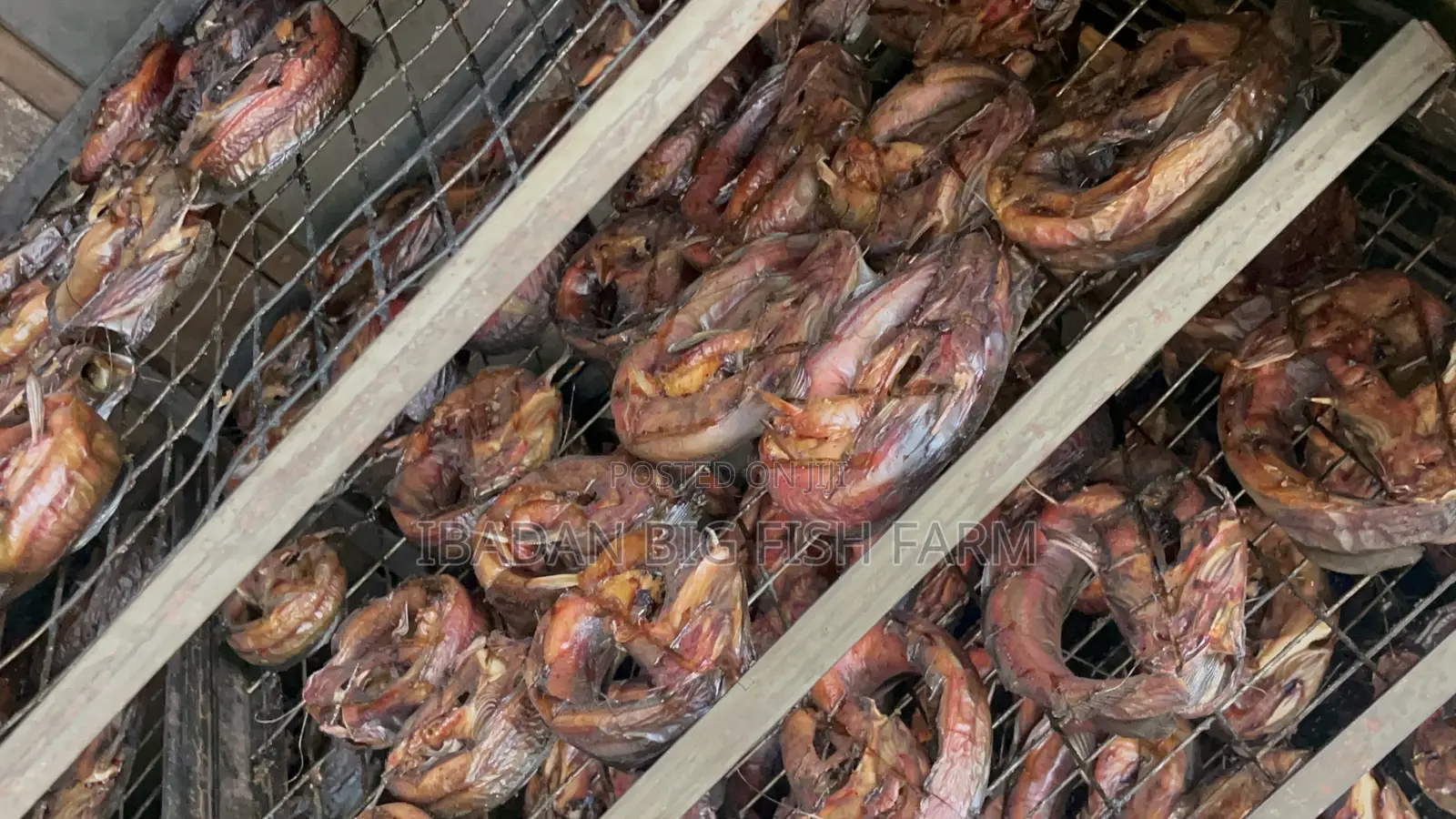 Oven-Dried Catfish