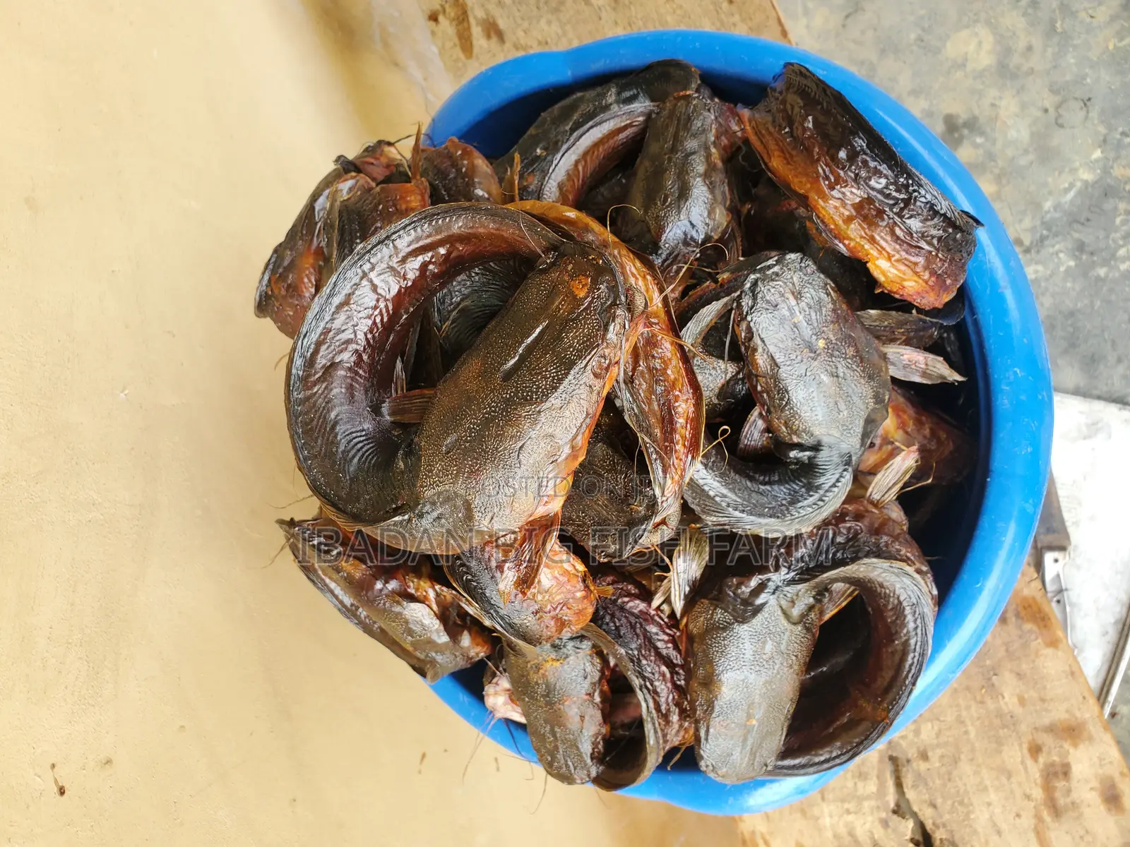 Oven-Dried Catfish