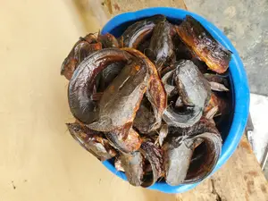 Oven-Dried Catfish