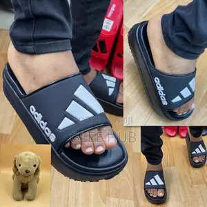 High Quality Slides
