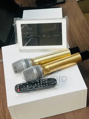 7”Inwall Amplifier With Two Microphones