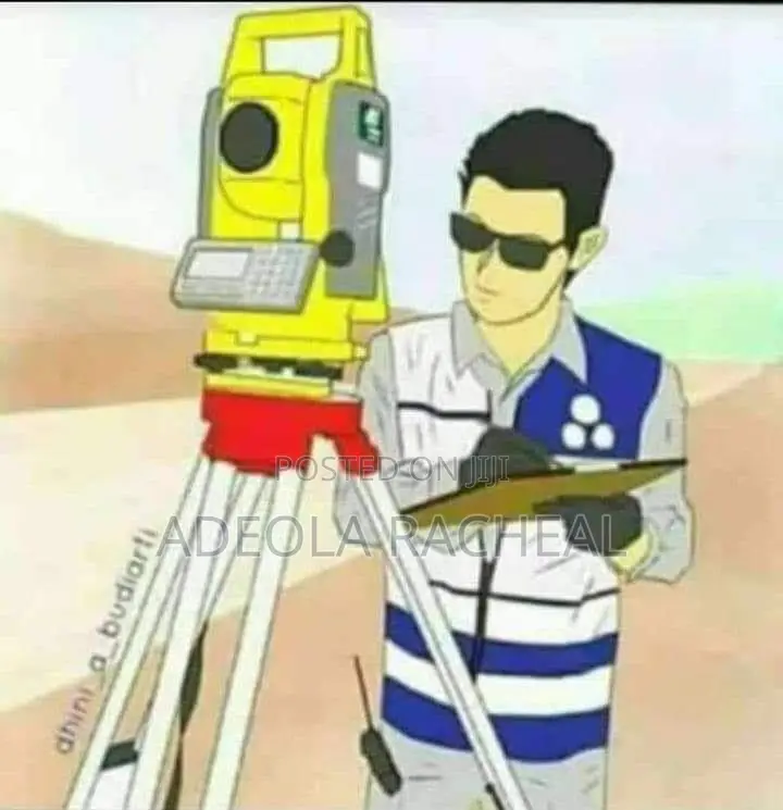 Professional Land Surveyor