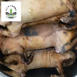 Dressed Whole Rabbits Available for Sales