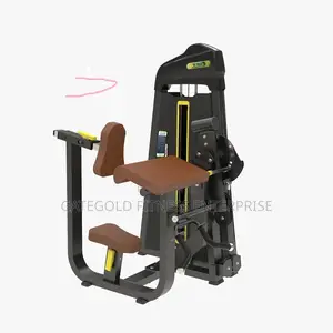 Biceps/Triceps Machine Dft690