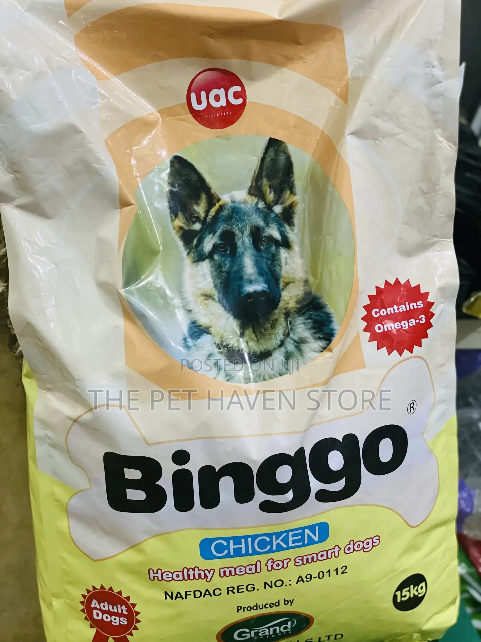 Binggo Adult