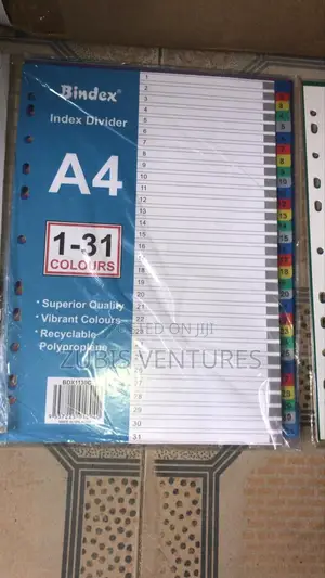 A4 Bidex File Divider ( 1-31)