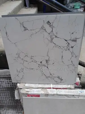60x60 Glossy Vectrified Royal Tiles