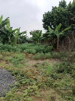 Sharp 1 Plot of Land for Sale in Elelenwo Port Harcourt