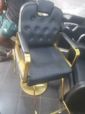 Pumping Salon Chair Brand New One