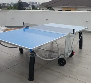 Heavy Duty Table Tennis  Board
