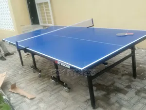 Outdoor Table Tennis  Board With Accessories