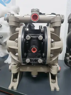 Wilden Chemical Pump 1" STAINLESS
