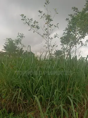 300 Square Meter in Kayfarm Estate Obawole Ifako Ijaiye
